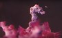 The world's tiniest seahorses are masters of disguise (VIDEO)