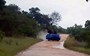 Elephant overturns car in the Kruger National Park