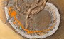 Three-in-one fossil: Bug inside lizard inside snake