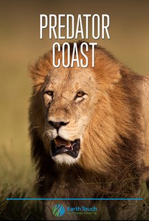 Predator Coast