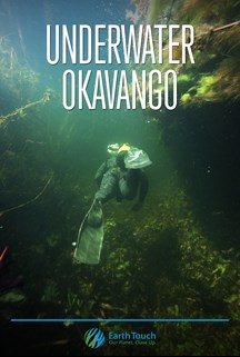 Underwater Okavango