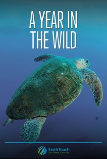 A Year In The Wild