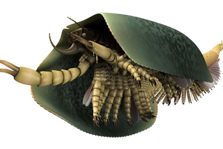 This strange sea monster had saw-edged jaws & pincers like can openers