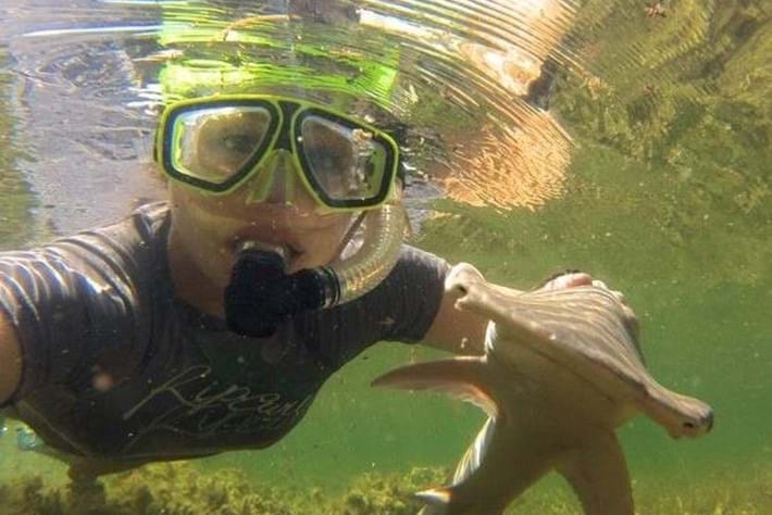 Bonnethead_Selfie_2017_07_13.jpg