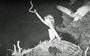 Osprey nest cam proves the night is dark and full of terrors