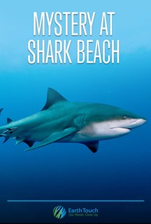 Mystery at Shark Beach