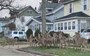 Deer filmed roaming the suburbs as US streets go quiet during lockdown