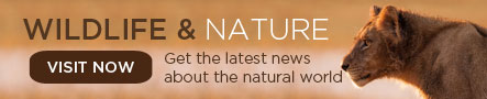 Wildlife and Nature