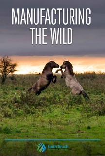 Manufacturing the Wild