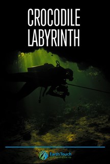 Crocodile Labyrinth