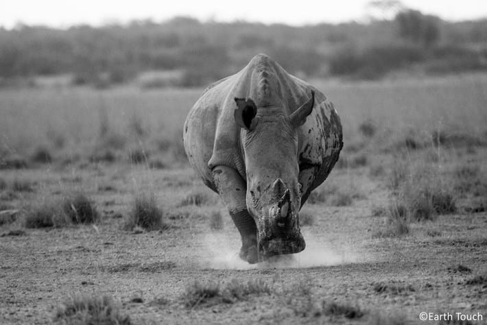 2014 09 25 Rhino Charge
